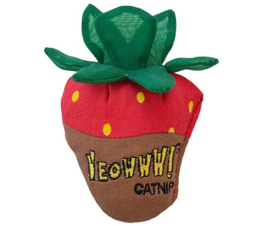 Ducky World Jouet D'herbe à Chat - Fraise Au Chocolat