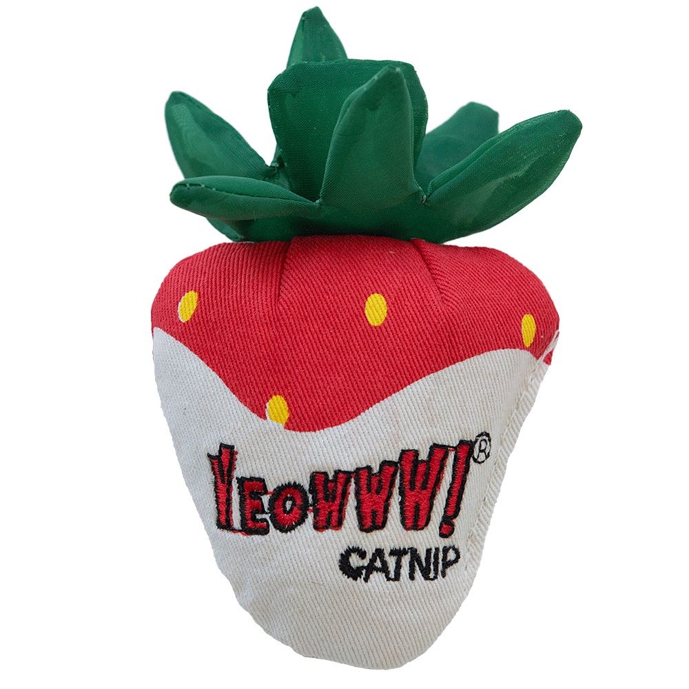 Ducky World Jouet D'herbe à Chat - Fraise Au Chocolat Blanc