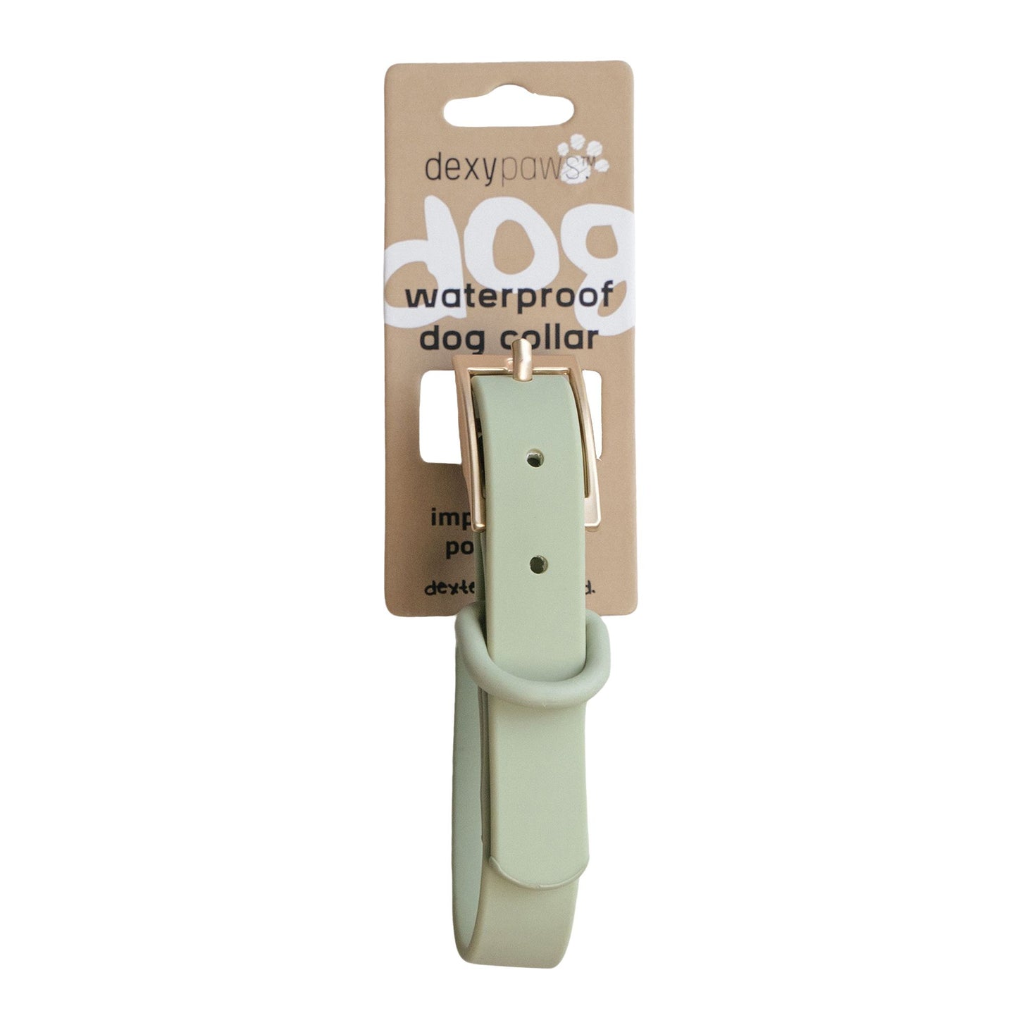 Dexypaws Collier Imperméable Pour Chien, Couleur Vert Sauge