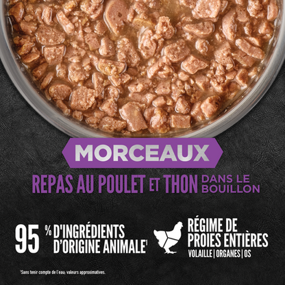 Orijen - Morceaux et effilochés - Repas au poulet et thon pour chaton 5.5oz