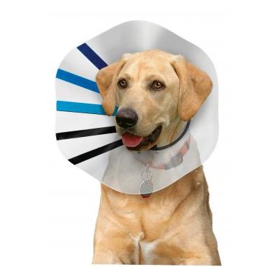 Kong Ez Clear Collar X-Large