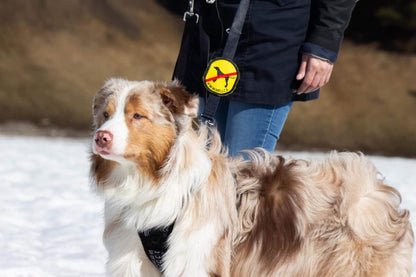 Beli Concept Écusson ''Pas de chien''