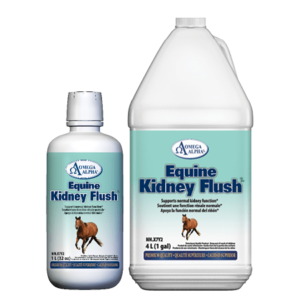 Omega Alpha Kidney Flush 1L