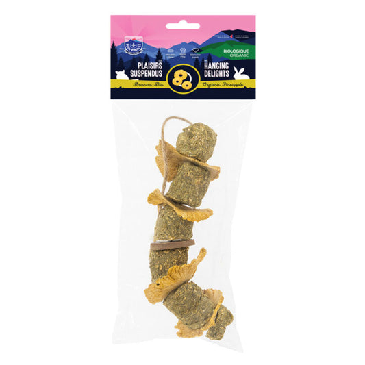 Délices suspendus pour petits animaux ananas bio