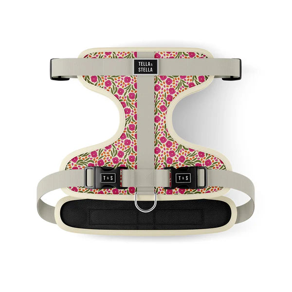 Tella & Stella Harnais Ajustable Chien a motif