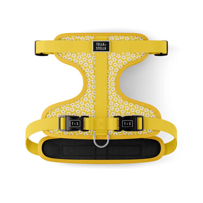 Tella & Stella Harnais Ajustable Chien a motif