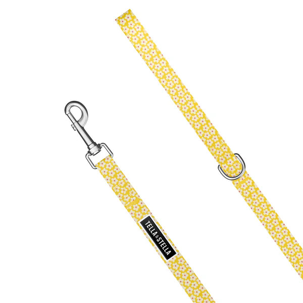 Tella & Stella Laisse Pour Chien Collection Motif