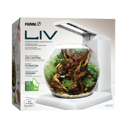 Aquarium équipé LIV Fluval pour l’aménagement miniature, blanc, 33 x 31,75 cm (13 x 12,5 po)