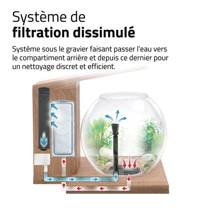 Aquarium équipé LIV Fluval pour l’aménagement miniature, tek, 33 x 31,75 cm (13 x 12,5 po)
