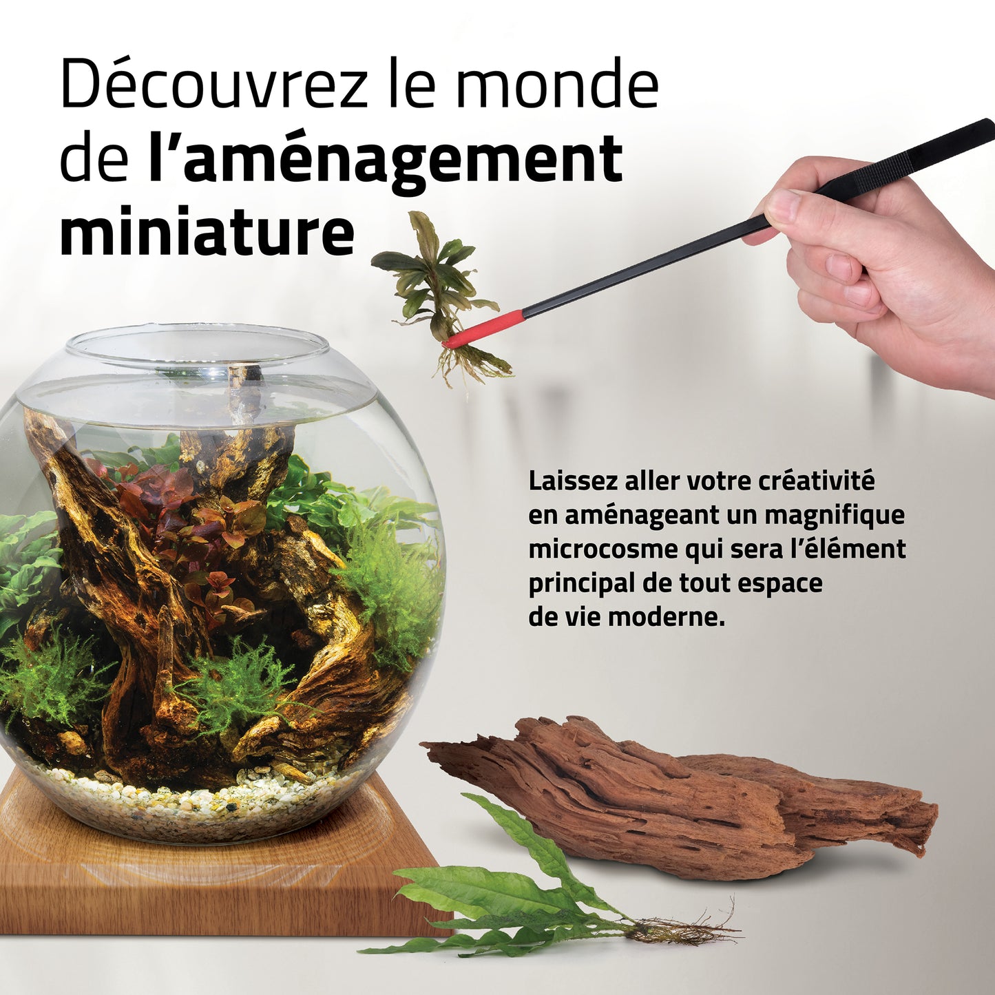 Aquarium équipé LIV Fluval pour l’aménagement miniature, tek, 33 x 31,75 cm (13 x 12,5 po)