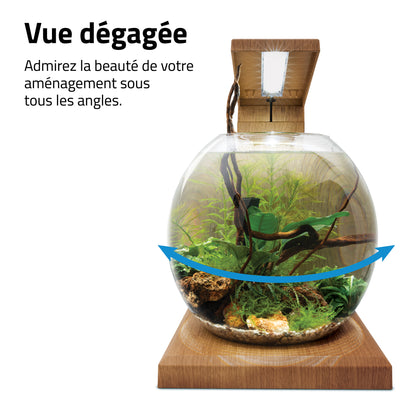 Aquarium équipé LIV Fluval pour l’aménagement miniature, tek, 33 x 31,75 cm (13 x 12,5 po)