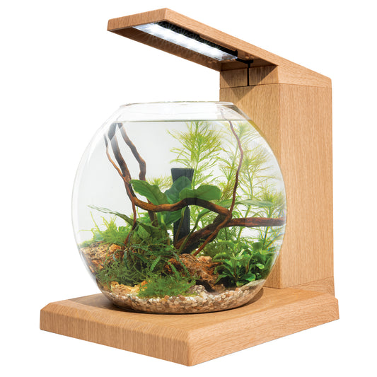 Aquarium équipé LIV Fluval pour l’aménagement miniature, tek, 33 x 31,75 cm (13 x 12,5 po)