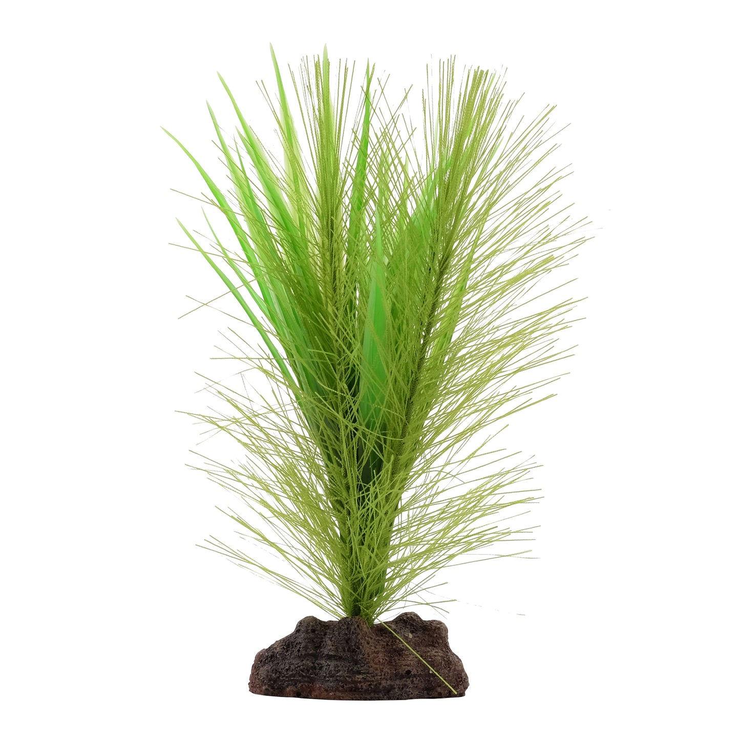 Myriophylle brésilien vert et vallisnérie Plant Scapes Aqualife Fluval, 12,5 cm (5 po)