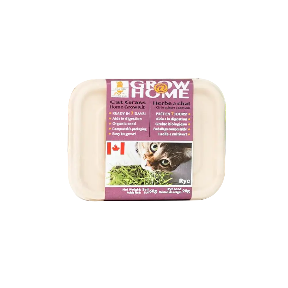 Kit D'Herbe A Chat 70G