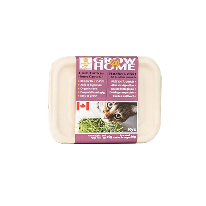 Kit D'Herbe A Chat 70G