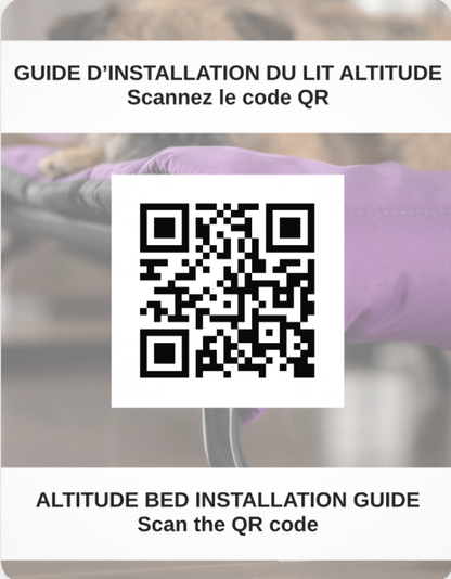 Le chien Blanc Lit surélevé Altitude