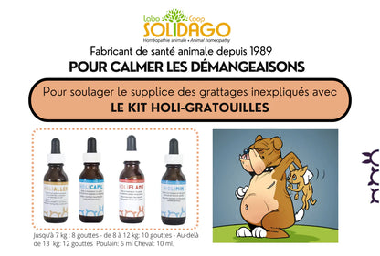 Holidago Kit Holi-Gratouilles