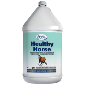 Healthy Horse