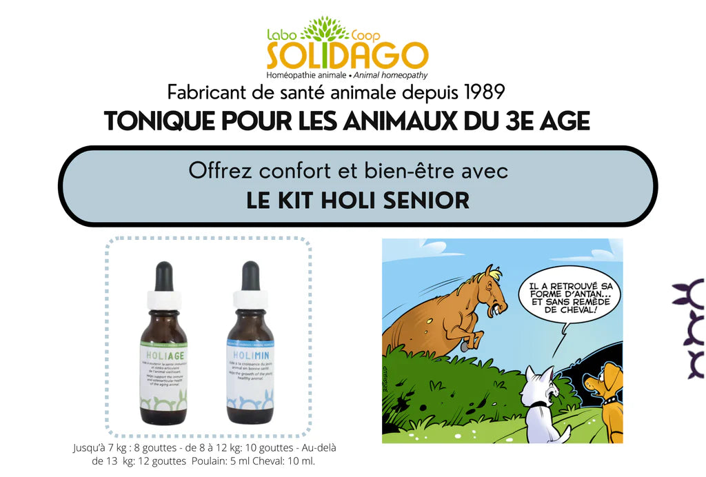 Holidago Kit Holi Sénior