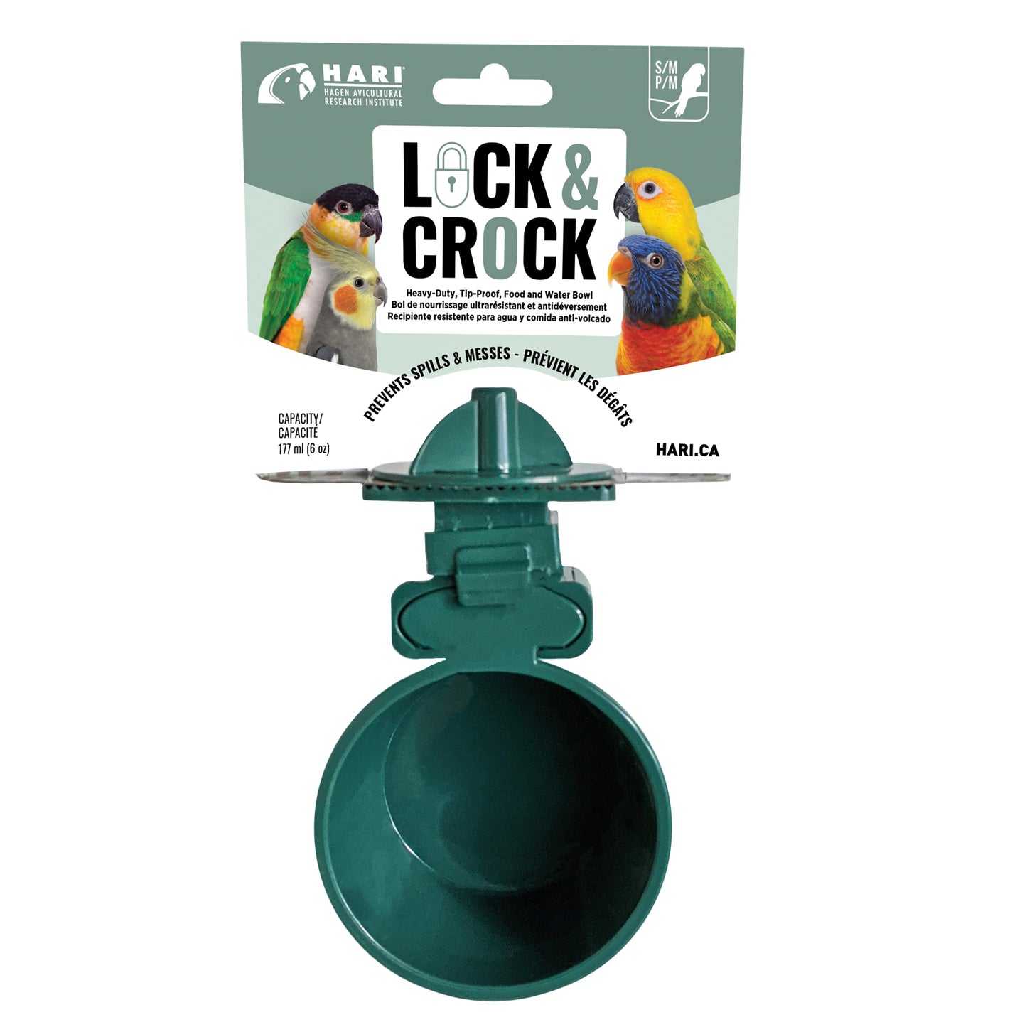 HARI Lock & Crock Bol de nourrissage ultrarésistant et antidéversement - 177 ml (6 oz)