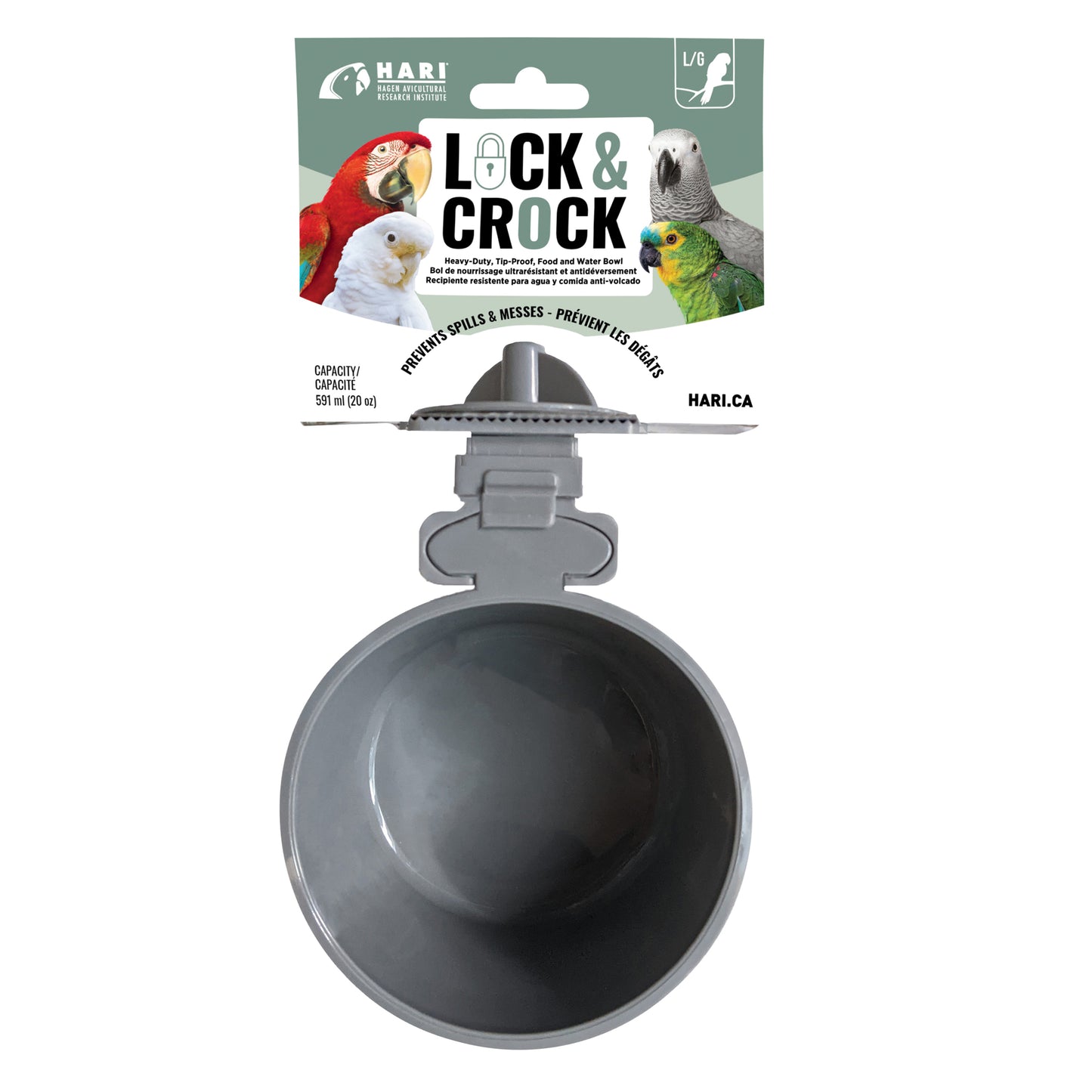 HARI Lock & Crock Bol de nourrissage ultrarésistant et antidéversement - 591 ml (20 oz)