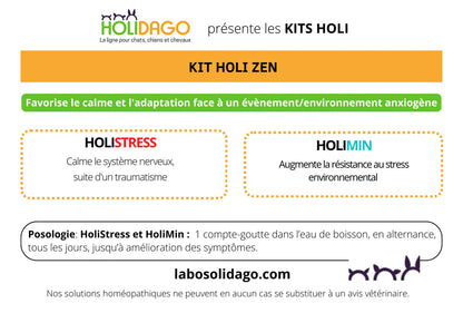 Holidago Kit Holi-Zen