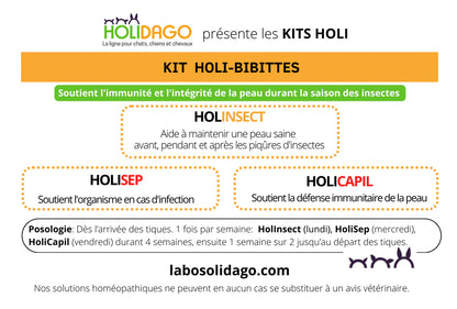 Holidago Kit Holi Bibittes