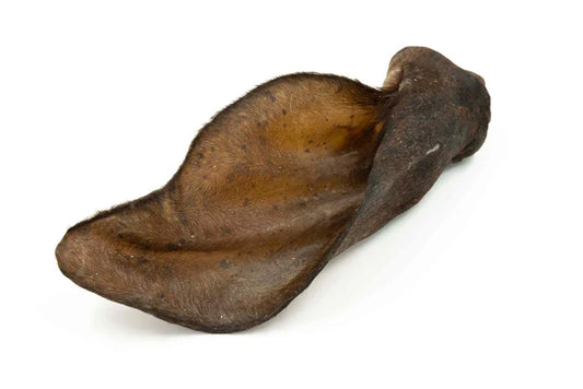 Oreille de boeuf géante avec fourrure
