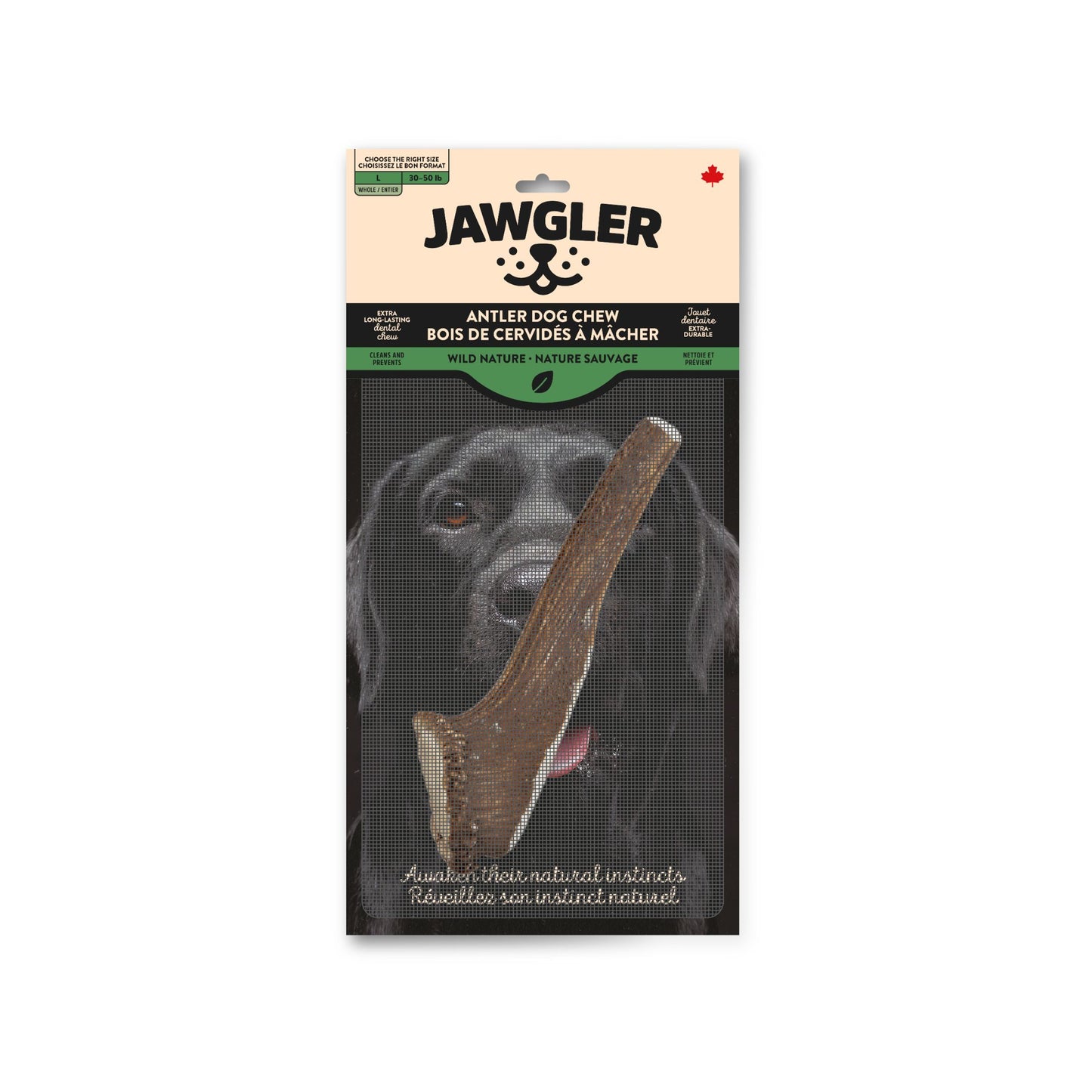 Jawgler (Dentler) Bois Cervidés Entiers Naturels