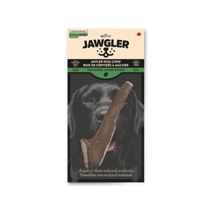 Jawgler (Dentler) Bois Cervidés Entiers Naturels
