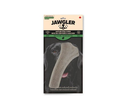 Jawgler (Dentler) Bois de Cervidés Naturel, coupé