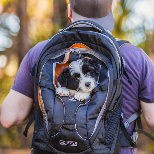 Kurgo Sac à Dos G-train, Porte-chien, Jusqu'à 25lbs