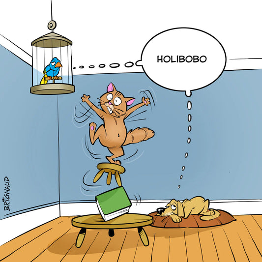 Holidago Kit Premiers Soins