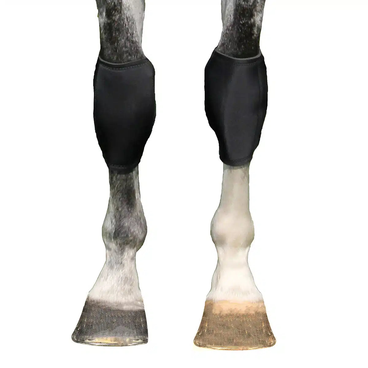 Back On Track Knee Boots Pair Md