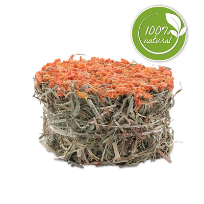 Galette de foin Botanicals Living World Green, carotte, 75 g (2,6 oz)