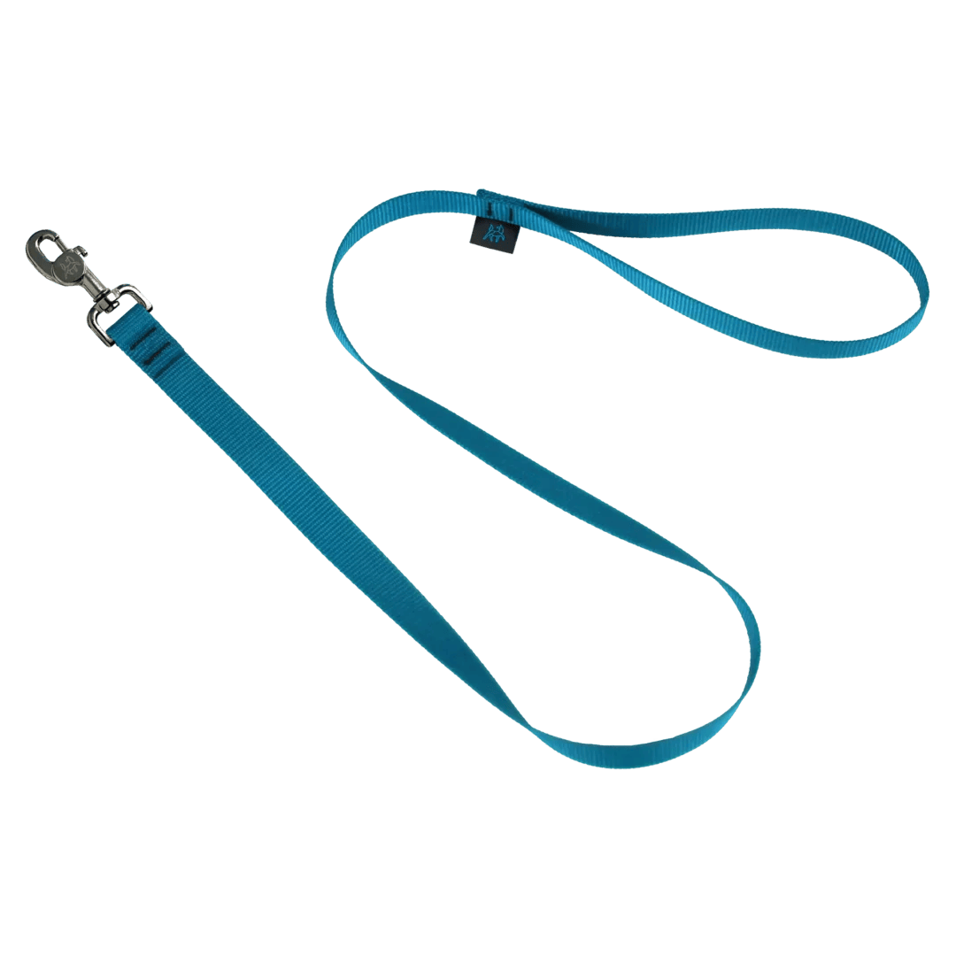 Nahak Laisse Standard pour chien