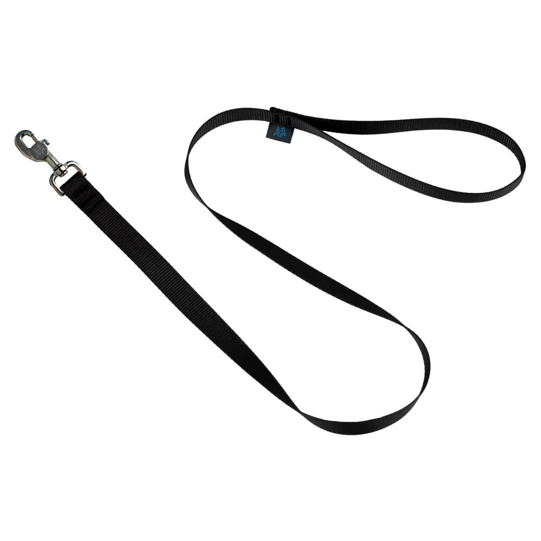 Nahak Laisse Standard pour chien