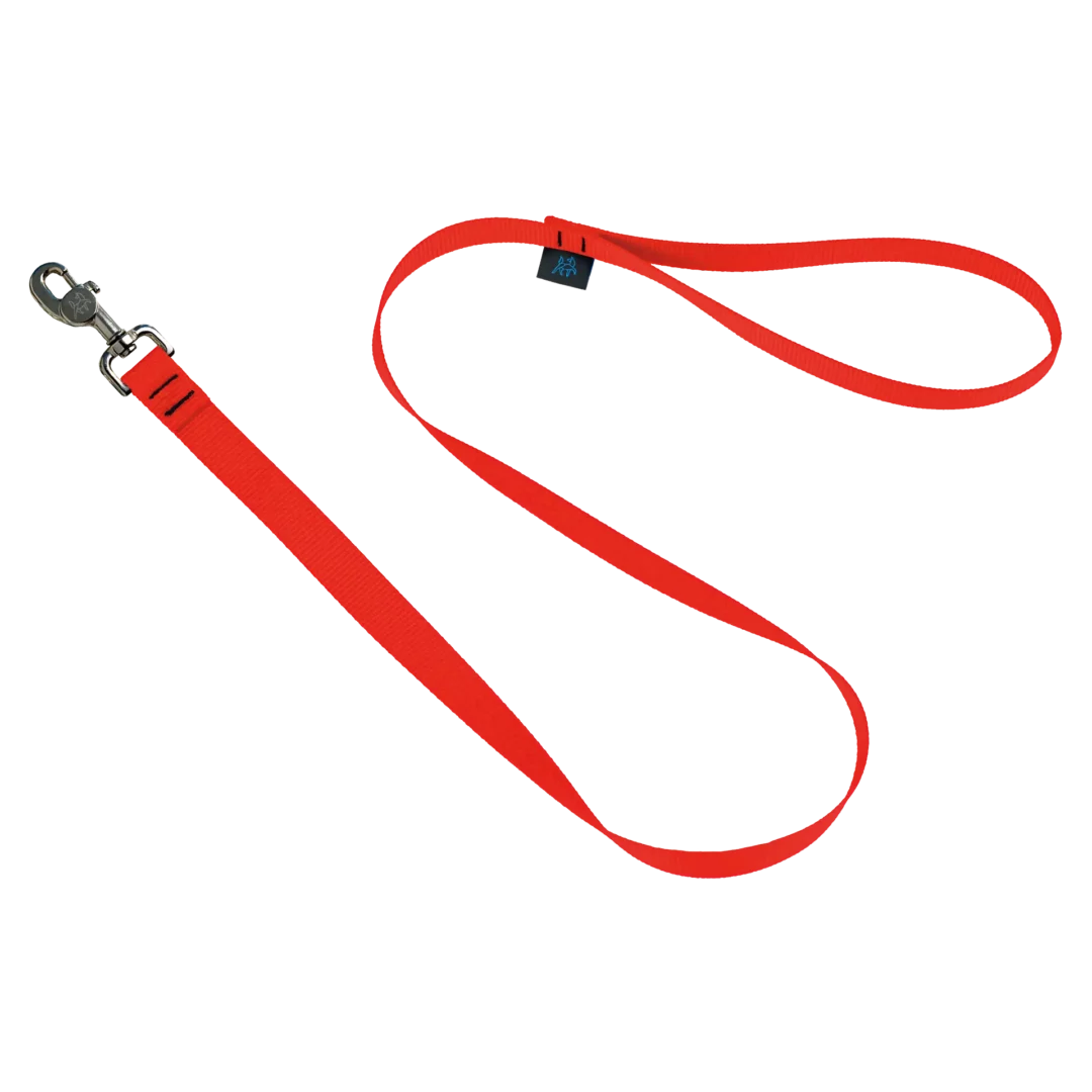 Nahak Laisse Standard pour chien