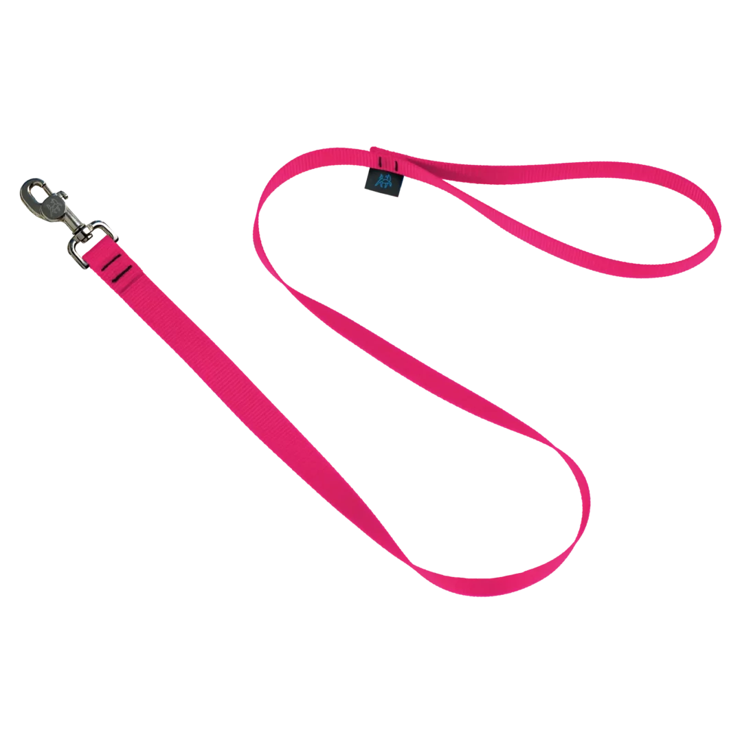 Nahak Laisse Standard pour chien