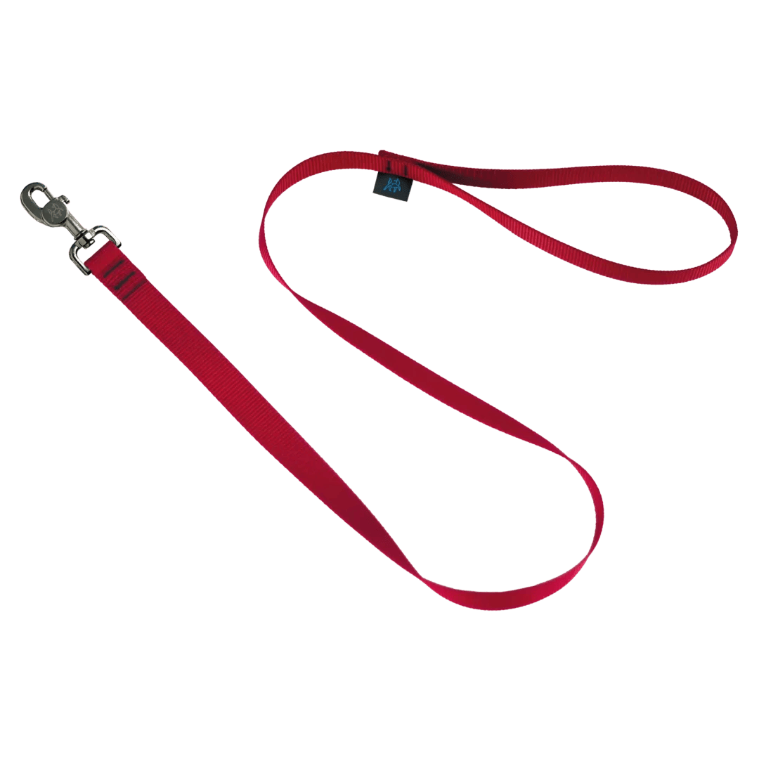 Nahak Laisse Standard pour chien