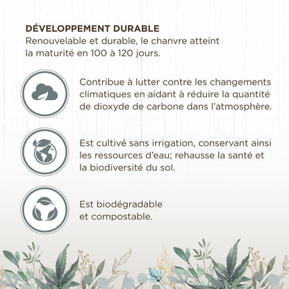 Litière de chanvre Living World Green Ultra Comfort de première qualité, 10 L