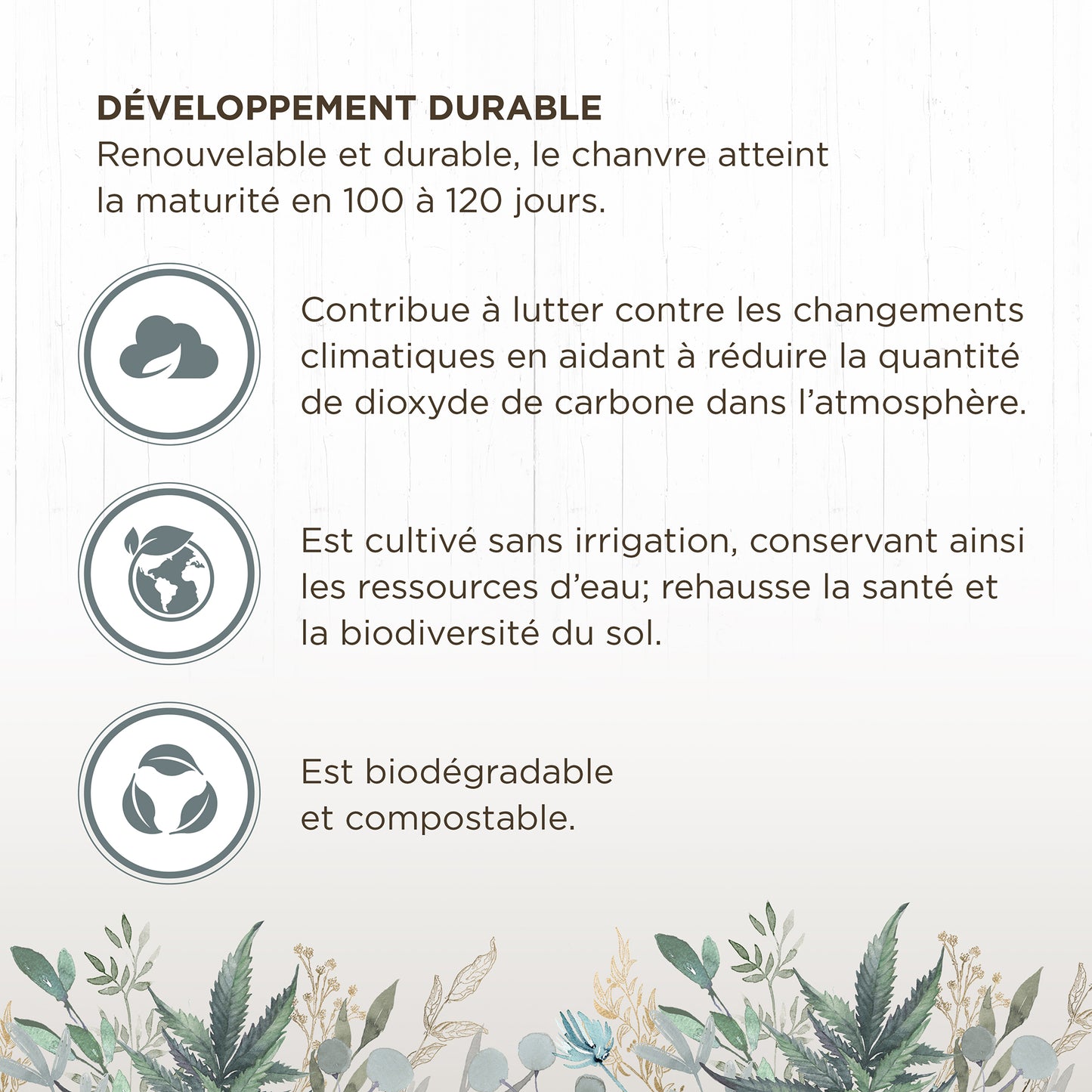 Litière de chanvre Living World Green Ultra Comfort de première qualité, 20 L