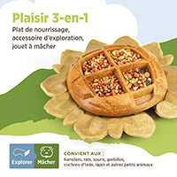 Accessoire de nourrissage comestible Living World, Tournesol, orange, 160 g