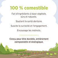 Jouet à mâcher comestible Living World, Pommes de pin, brun, paquet de 6, 66 g