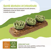 Jouet à mâcher comestible Living World, Carré de choux, multicolore, 165 g