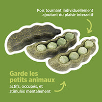 Jouet à mâcher comestible Living World, Cosse de pois, vert, paquet de 3,75 g