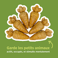 Jouet à mâcher comestible Living World, Carottes, orange, paquet de 6, 78 g (2,7 oz)