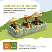 Jouet à mâcher comestible Living World, Parcelle de champignons, multicolore, 170 g (5,9 oz)