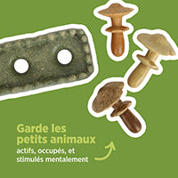 Jouet à mâcher comestible Living World, Parcelle de champignons, multicolore, 170 g (5,9 oz)