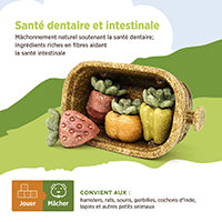 Jouet à mâcher comestible Living World, Panier de récolte, multicolore, 158 g (5,5 oz)
